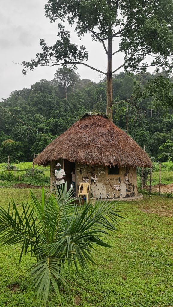 Tishk International University | International Department